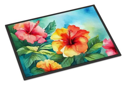 NEW Hawaii Hawaiian Hibiscus in Watercolor Doormat Front Door Mat Indoor Outdoor Rugs for Entryway, Non Slip Washable Low Pile, 18H X 27W (Default: Default)